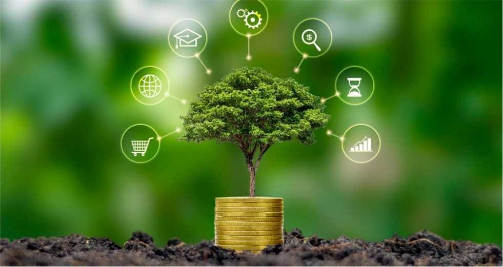 Investimentos Sustentáveis: Como Investir com Consciência