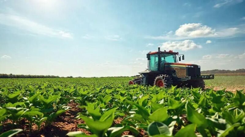 O Crescimento do Setor Agrícola Brasileiro em 2025 e Seu Impacto
