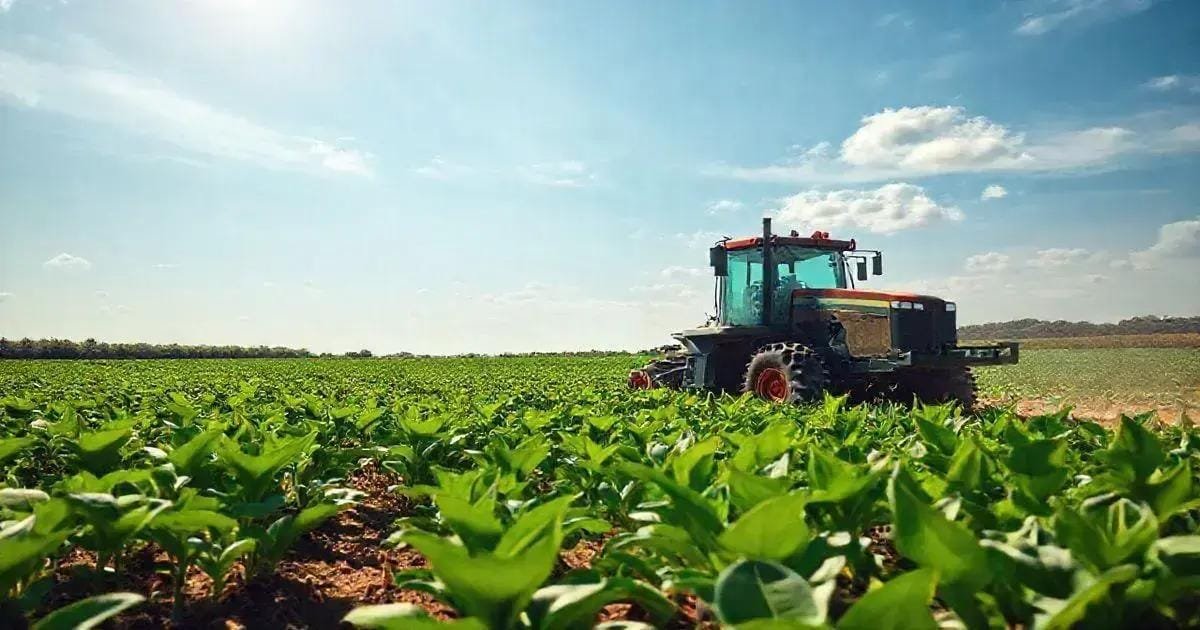 O Crescimento do Setor Agrícola Brasileiro em 2025 e Seu Impacto